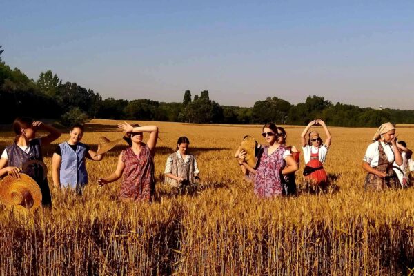 received_266415609369411