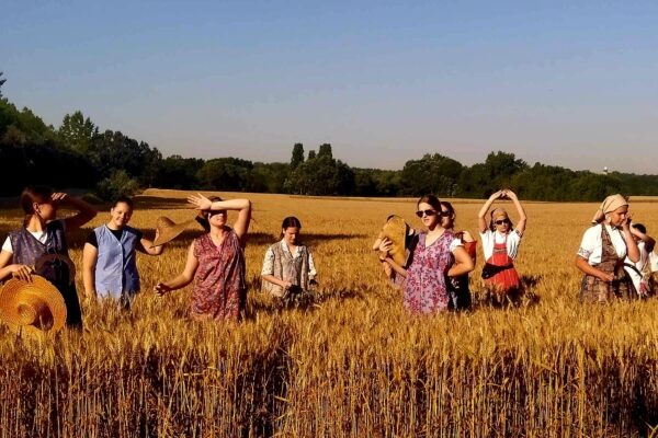 received_266415609369411